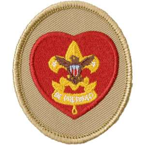 Image of life rank patch